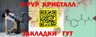 стафф Ставрополь
